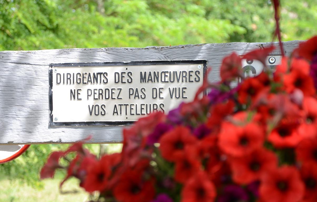 Avenue De La Gare Bed and Breakfast Riscle Buitenkant foto